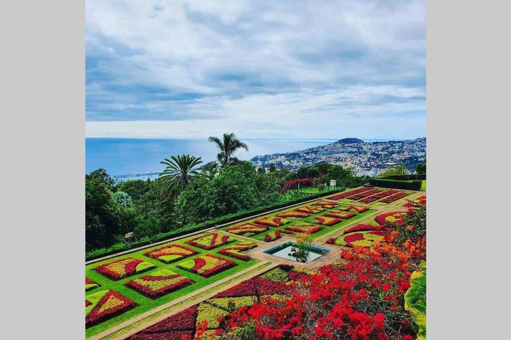 Funchal Center Apartment II المظهر الخارجي الصورة